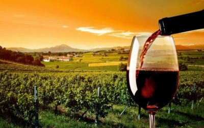Diccionario vinícola para los amantes del vino