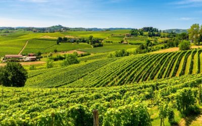 Influencia del clima en la elaboración de los vinos